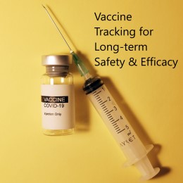 Preliminary Findings of mRNA Covid-19 Vaccine Safety in Pregnant Persons