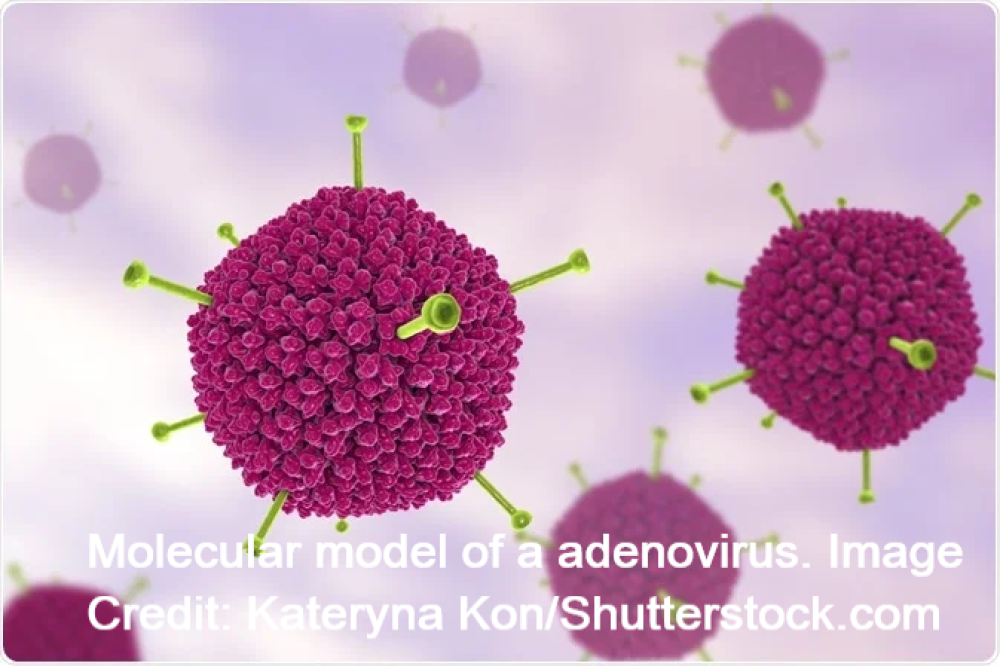 What are Adenovirus-Based Vaccines?