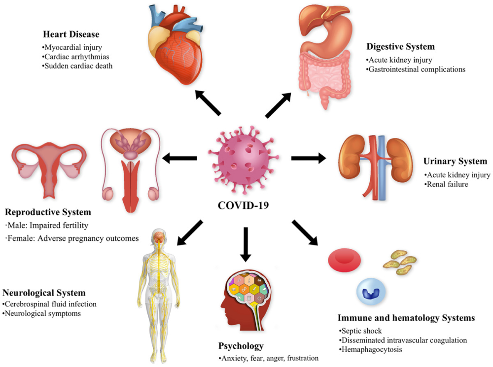Pathological findings in organs and tissues of patients with COVID-19: A systematic review