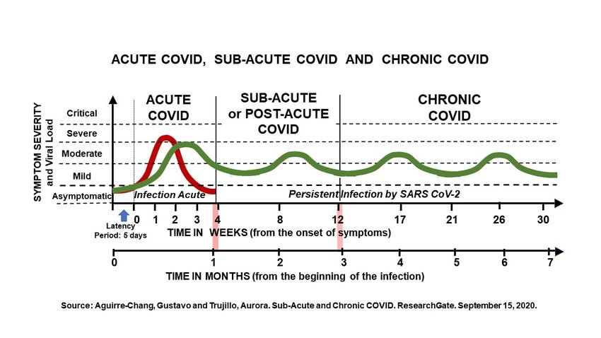 Immunoglobulin signature predicts risk of post-acute COVID-19 syndrome